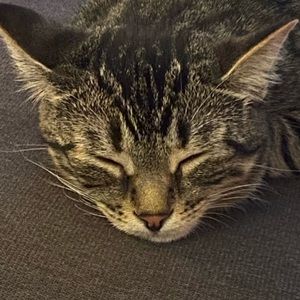 Meet your Posher, Patricia